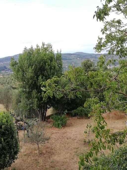 I Rosai Appartamento Sulle Colline Fiorentine Bagno a Ripoli Eksteriør bilde
