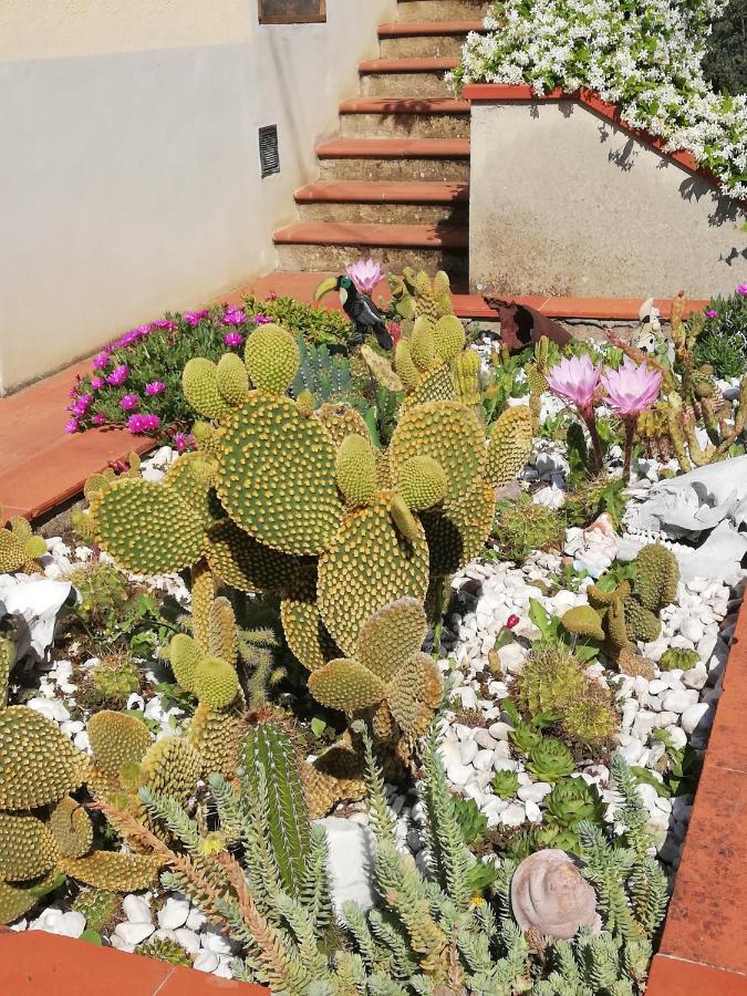 I Rosai Appartamento Sulle Colline Fiorentine Bagno a Ripoli Eksteriør bilde